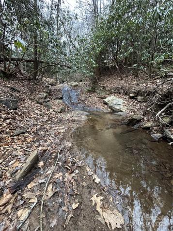 000 Lytle Cove Road Swannanoa NC 28778