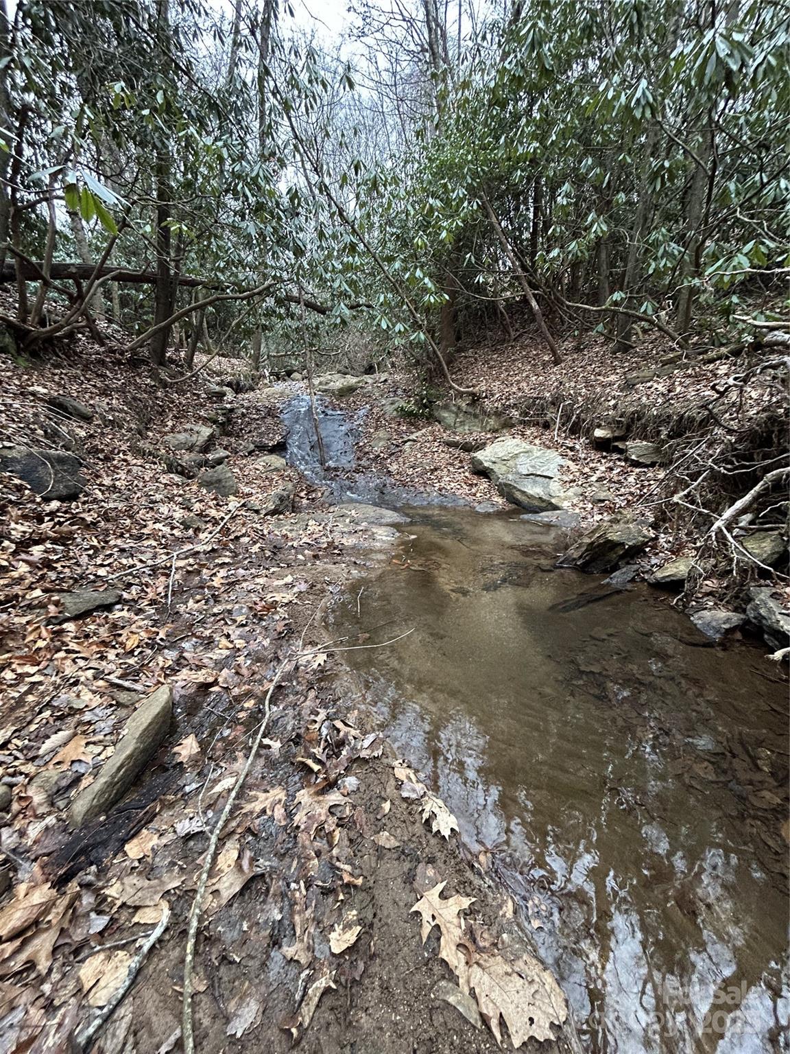 000 Lytle Cove Road Swannanoa NC 28778