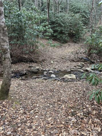 000 Lytle Cove Road Swannanoa NC 28778