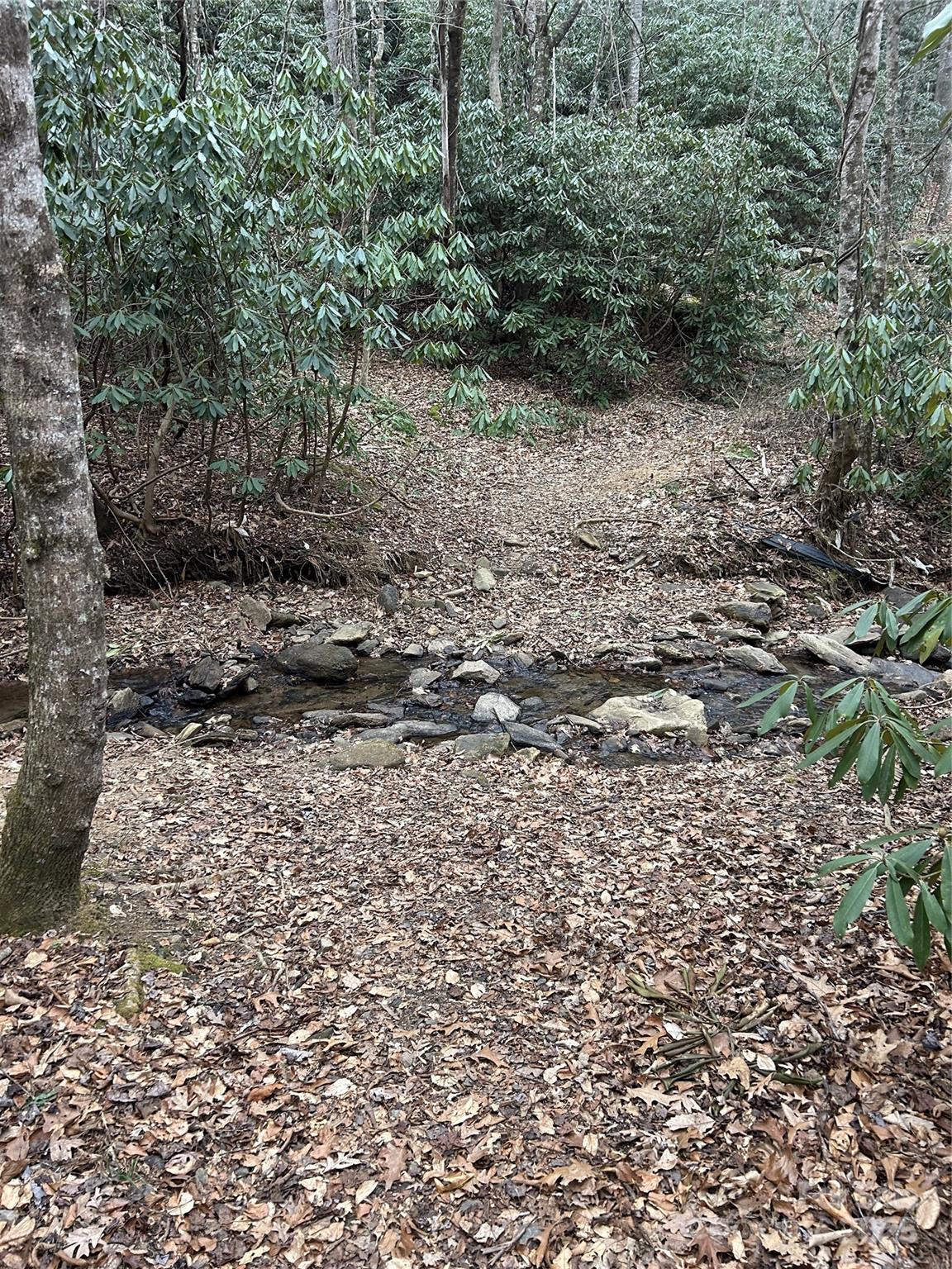 000 Lytle Cove Road Swannanoa NC 28778