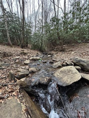 000 Lytle Cove Road Swannanoa NC 28778