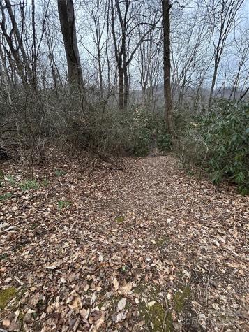000 Lytle Cove Road Swannanoa NC 28778