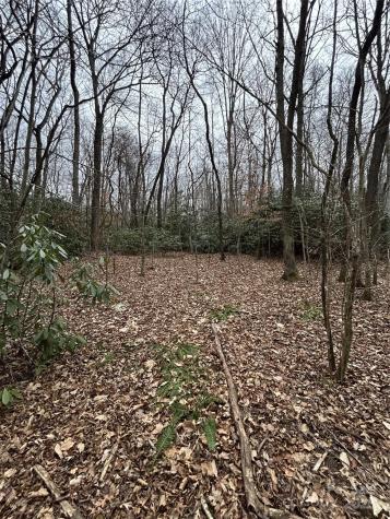 000 Lytle Cove Road Swannanoa NC 28778