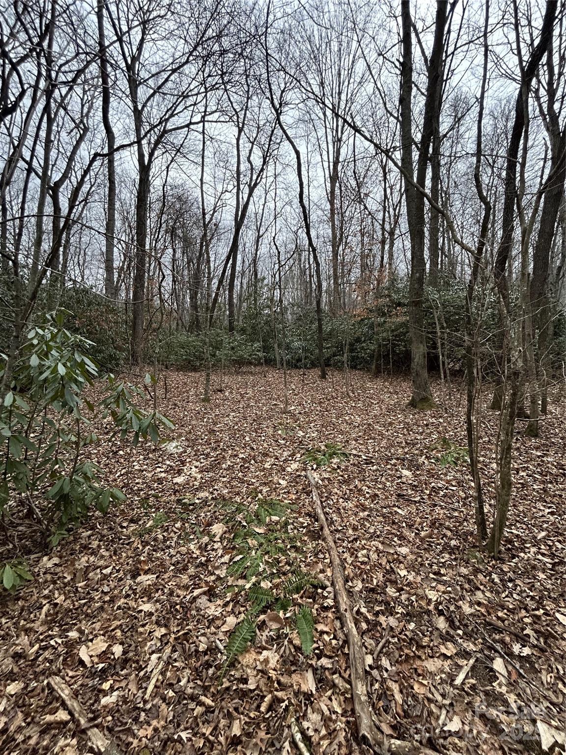 000 Lytle Cove Road Swannanoa NC 28778