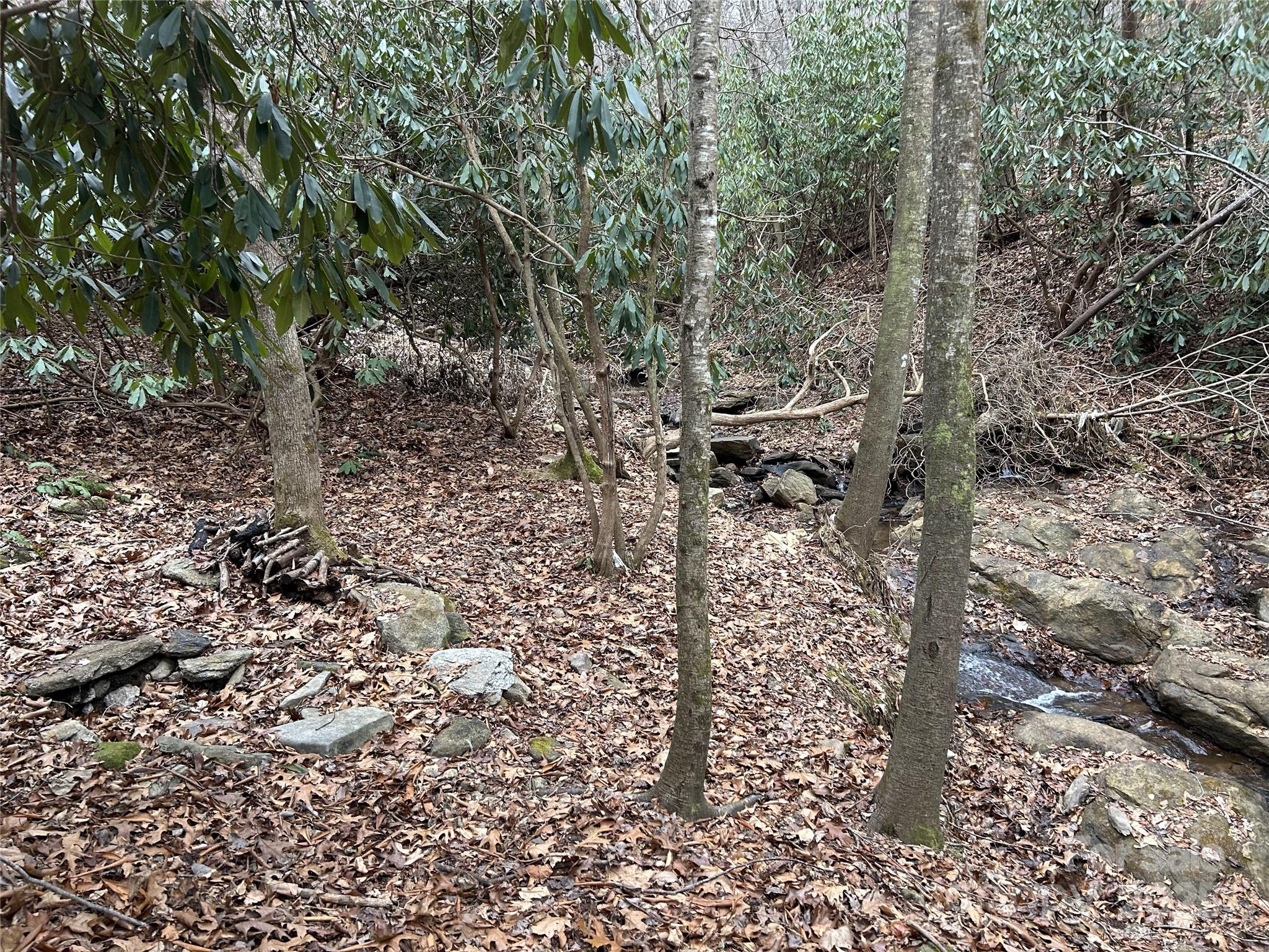 000 Lytle Cove Road Swannanoa NC 28778