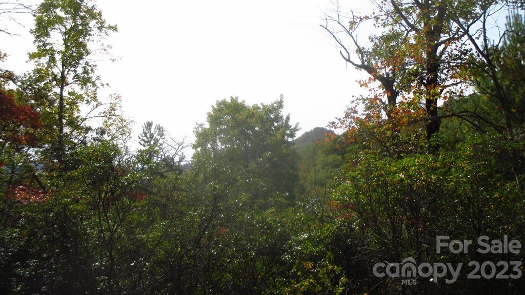 Lot 40 The Knoll Bryson City NC 28713