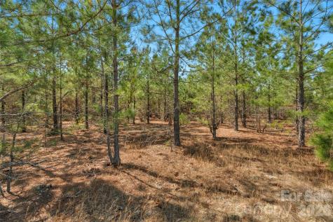 931 Charlie Johnson Road Kershaw SC 29067