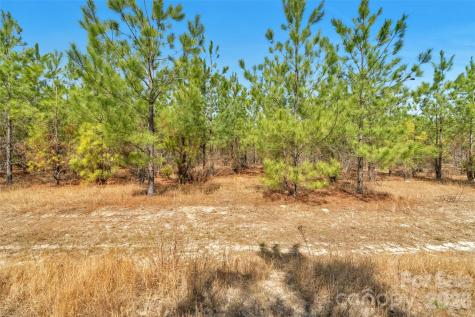 931 Charlie Johnson Road Kershaw SC 29067