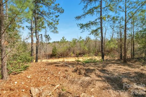 931 Charlie Johnson Road Kershaw SC 29067