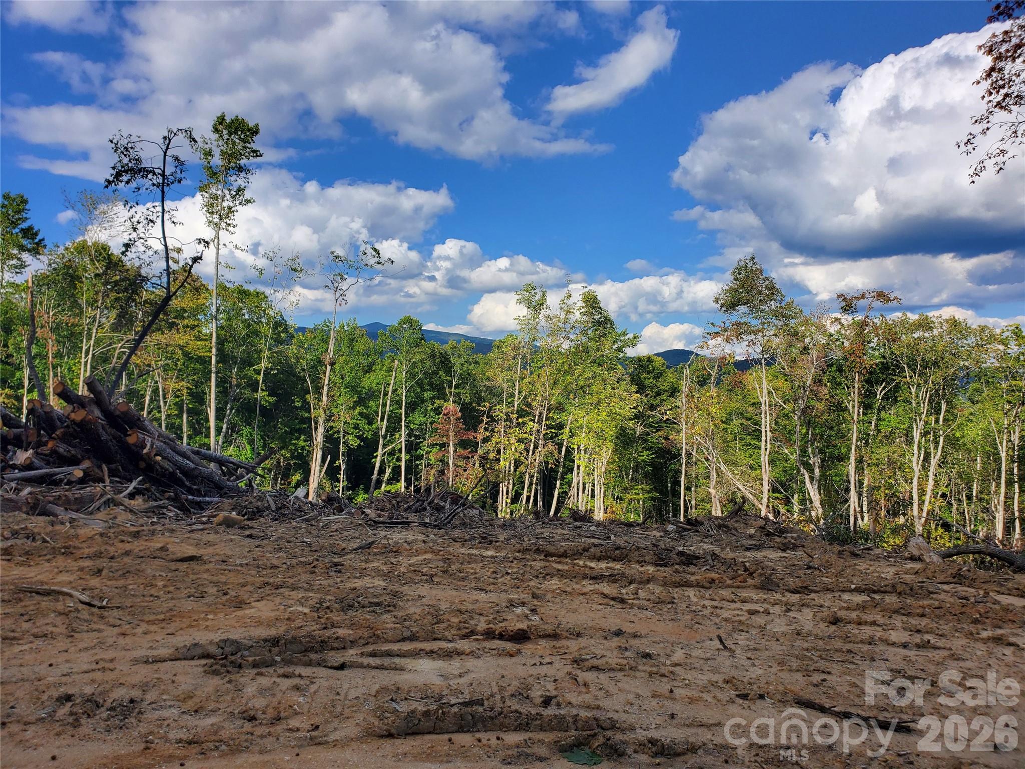 Lot 28 Parkwood Hill Road Spruce Pine NC 28777