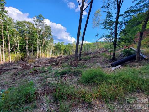 Lot 28 Parkwood Hill Road Spruce Pine NC 28777