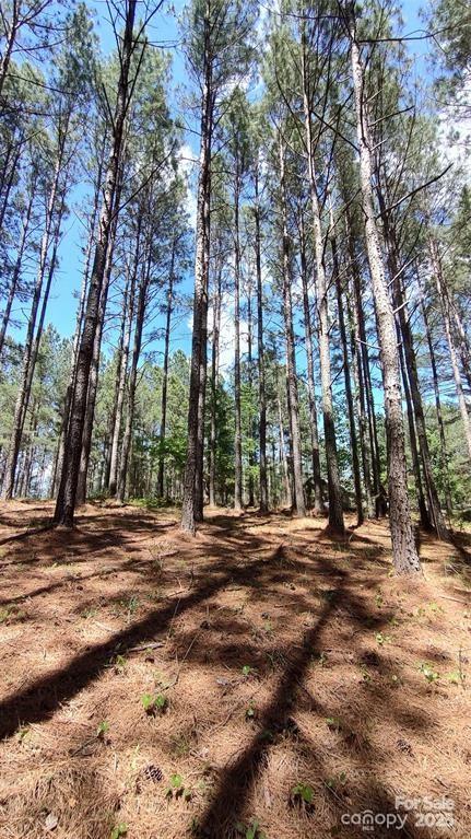 105 Cranberry Lane Mooresboro NC 28114