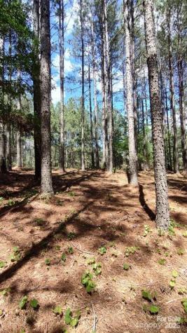 105 Cranberry Lane Mooresboro NC 28114