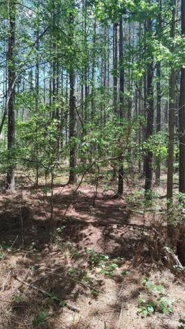 105 Cranberry Lane Mooresboro NC 28114