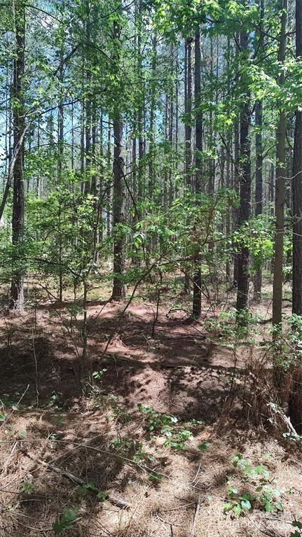 105 Cranberry Lane Mooresboro NC 28114