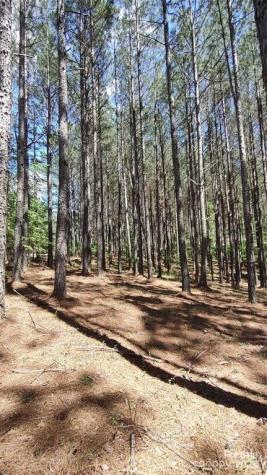 105 Cranberry Lane Mooresboro NC 28114