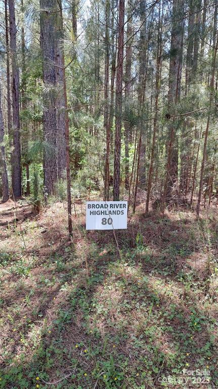 105 Cranberry Lane Mooresboro NC 28114