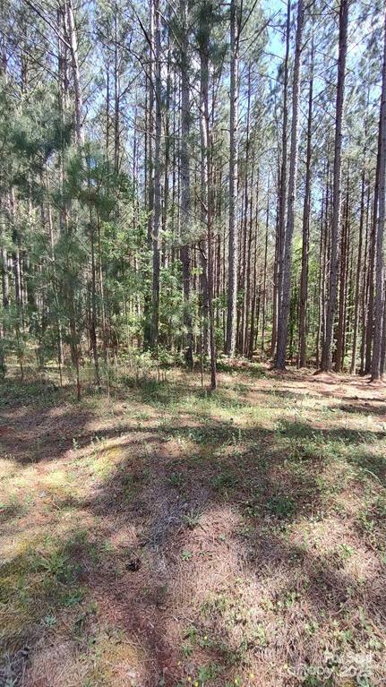 105 Cranberry Lane Mooresboro NC 28114