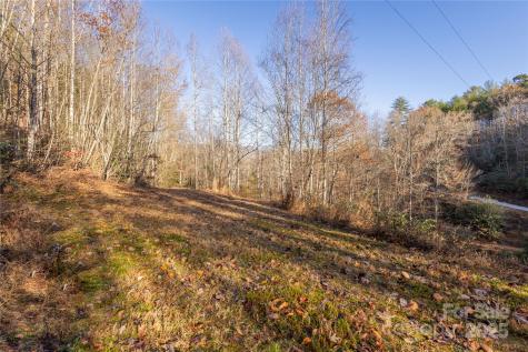 85 Brown Lane Marble NC 28905