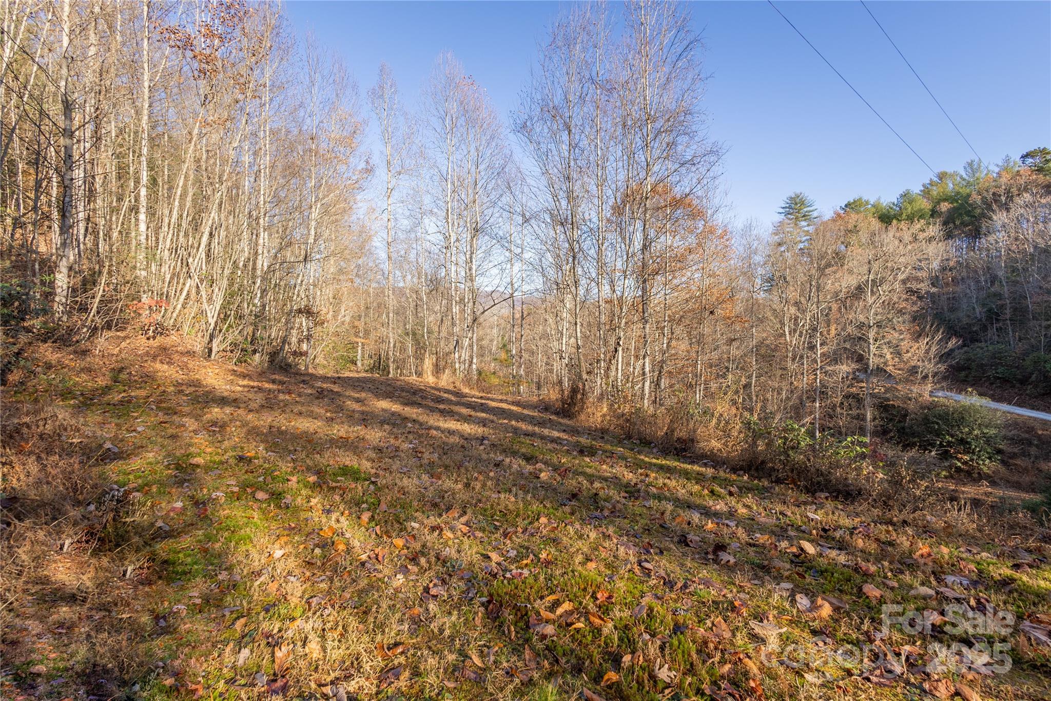 85 Brown Lane Marble NC 28905