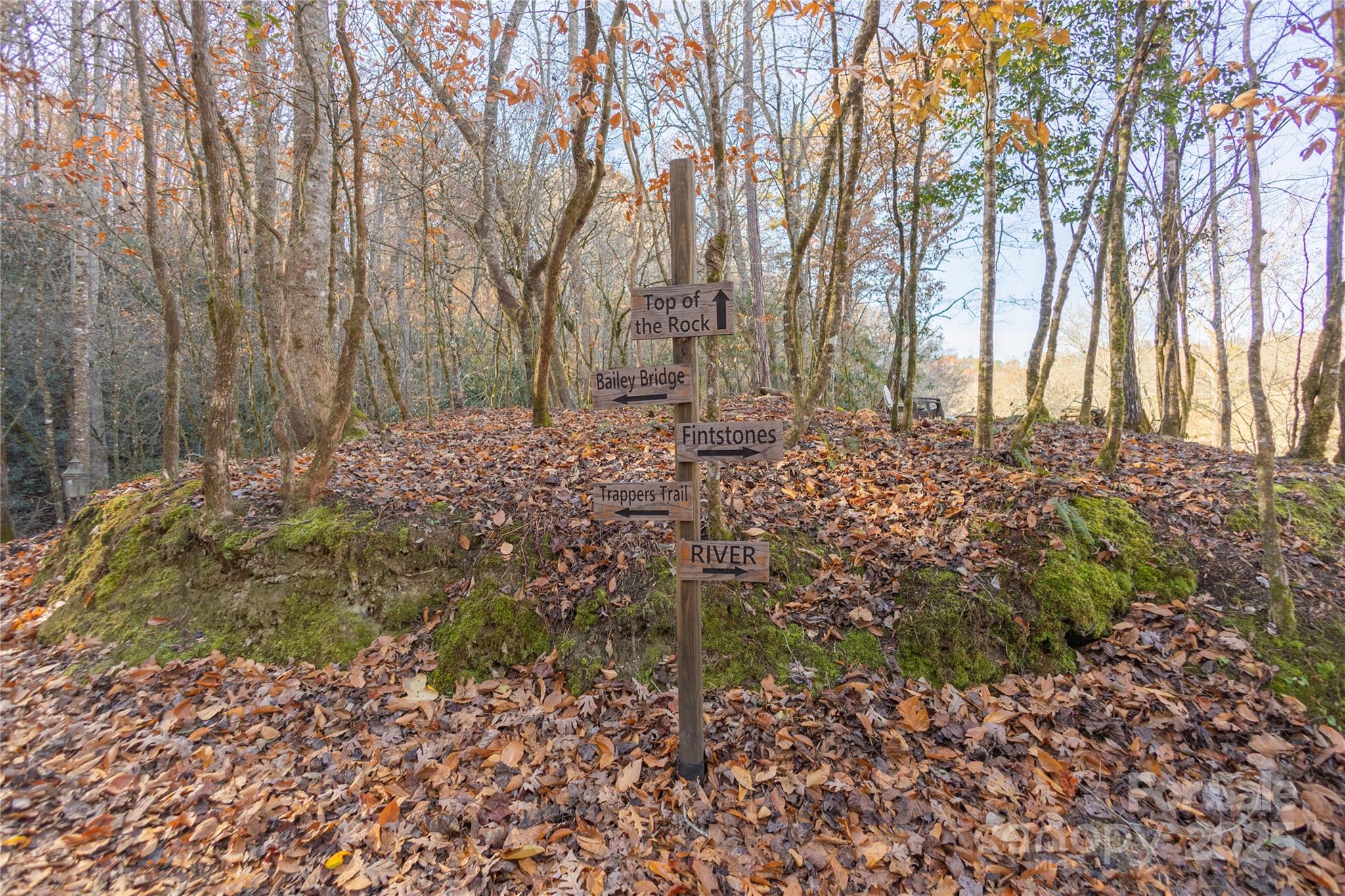 85 Brown Lane Marble NC 28905