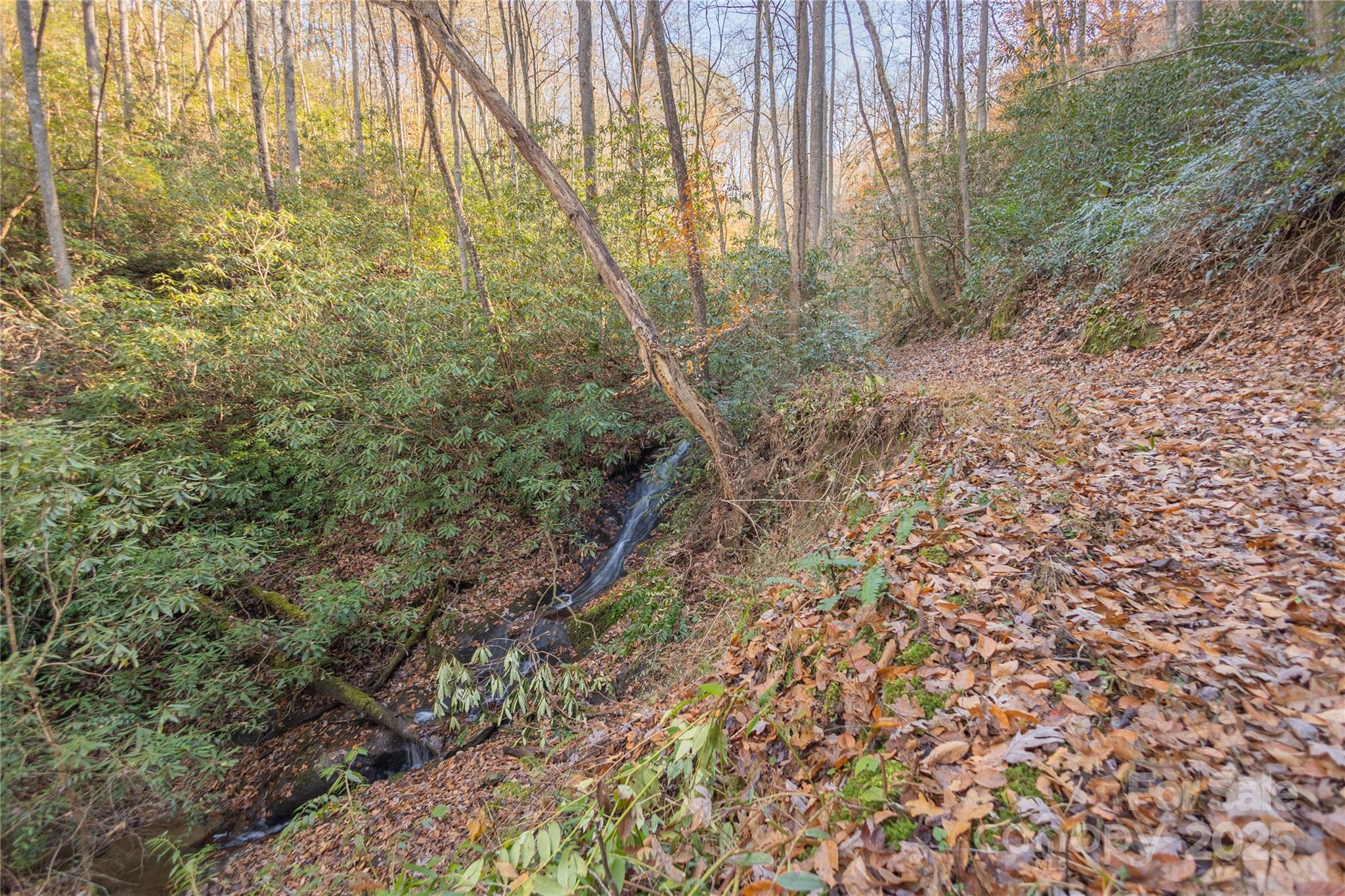 85 Brown Lane Marble NC 28905