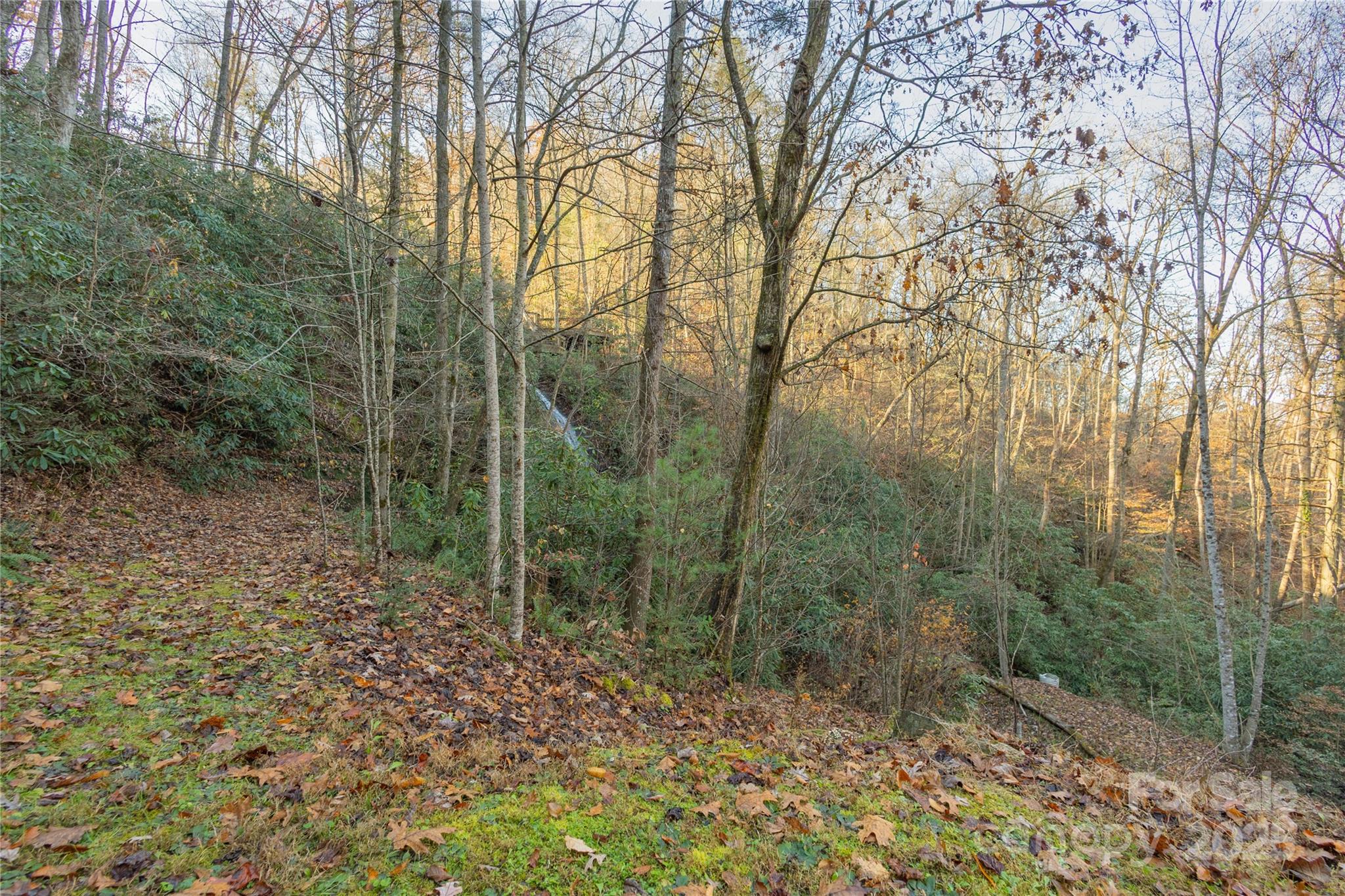 85 Brown Lane Marble NC 28905