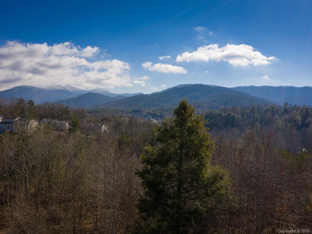 42 Governor Thomson Terrace Weaverville NC 28787