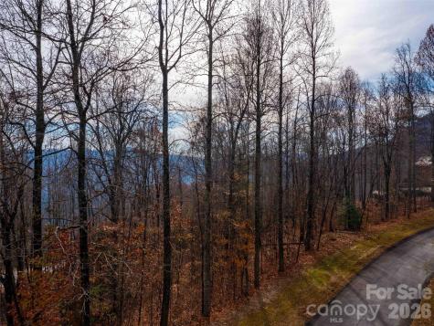Lot 253 Haddington Drive Mill Spring NC 28756