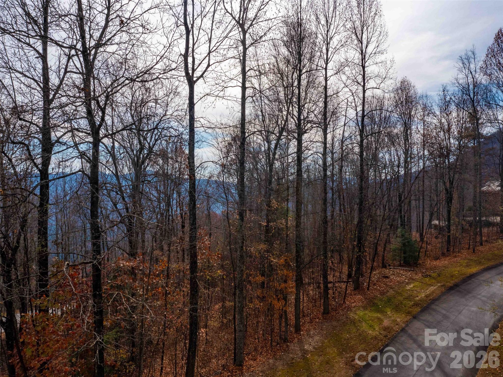 Lot 253 Haddington Drive Mill Spring NC 28756