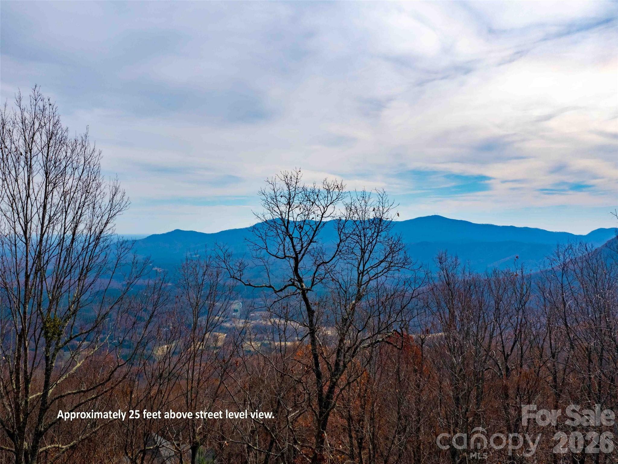 Lot 253 Haddington Drive Mill Spring NC 28756