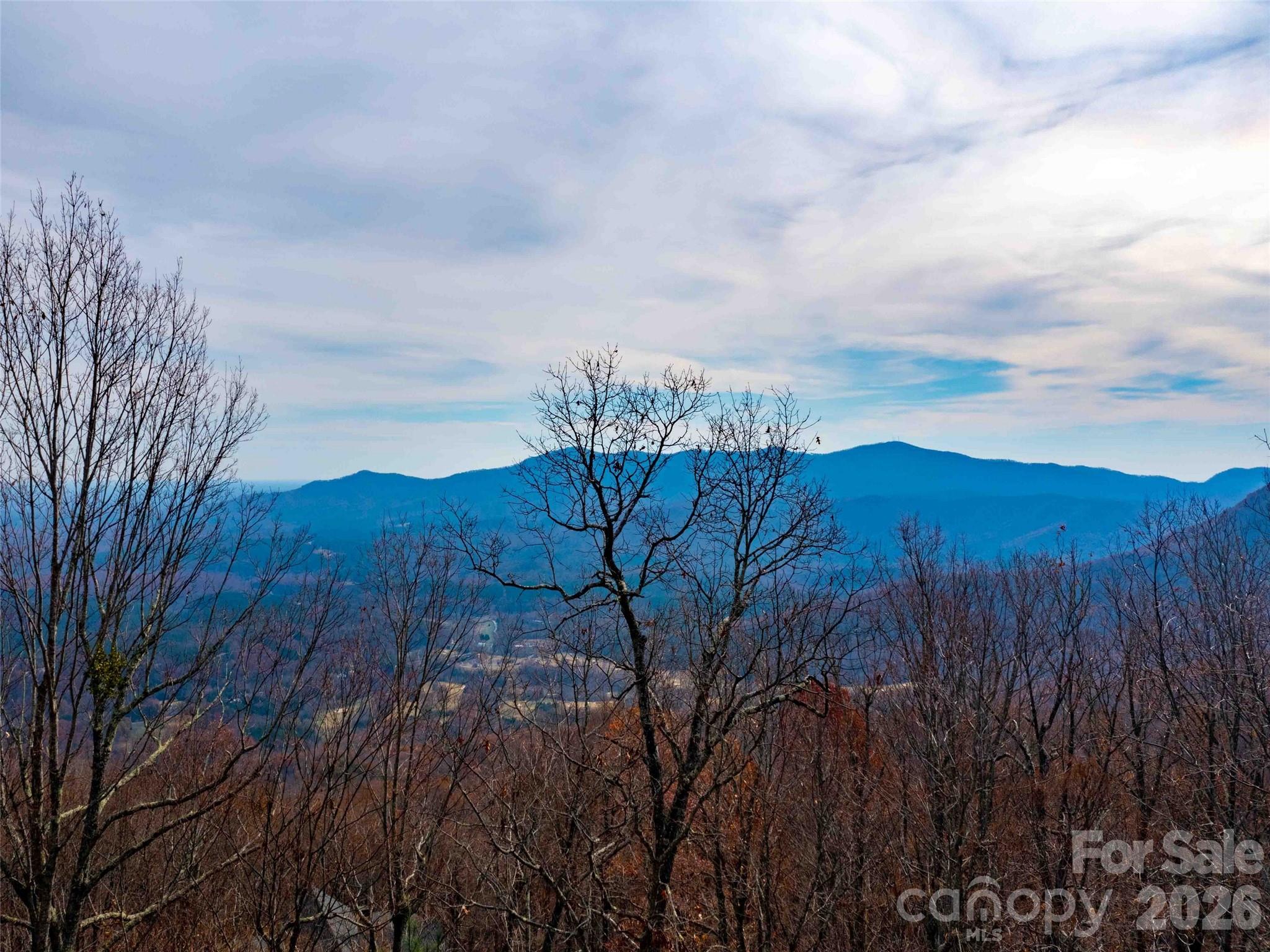 Lot 253 Haddington Drive Mill Spring NC 28756