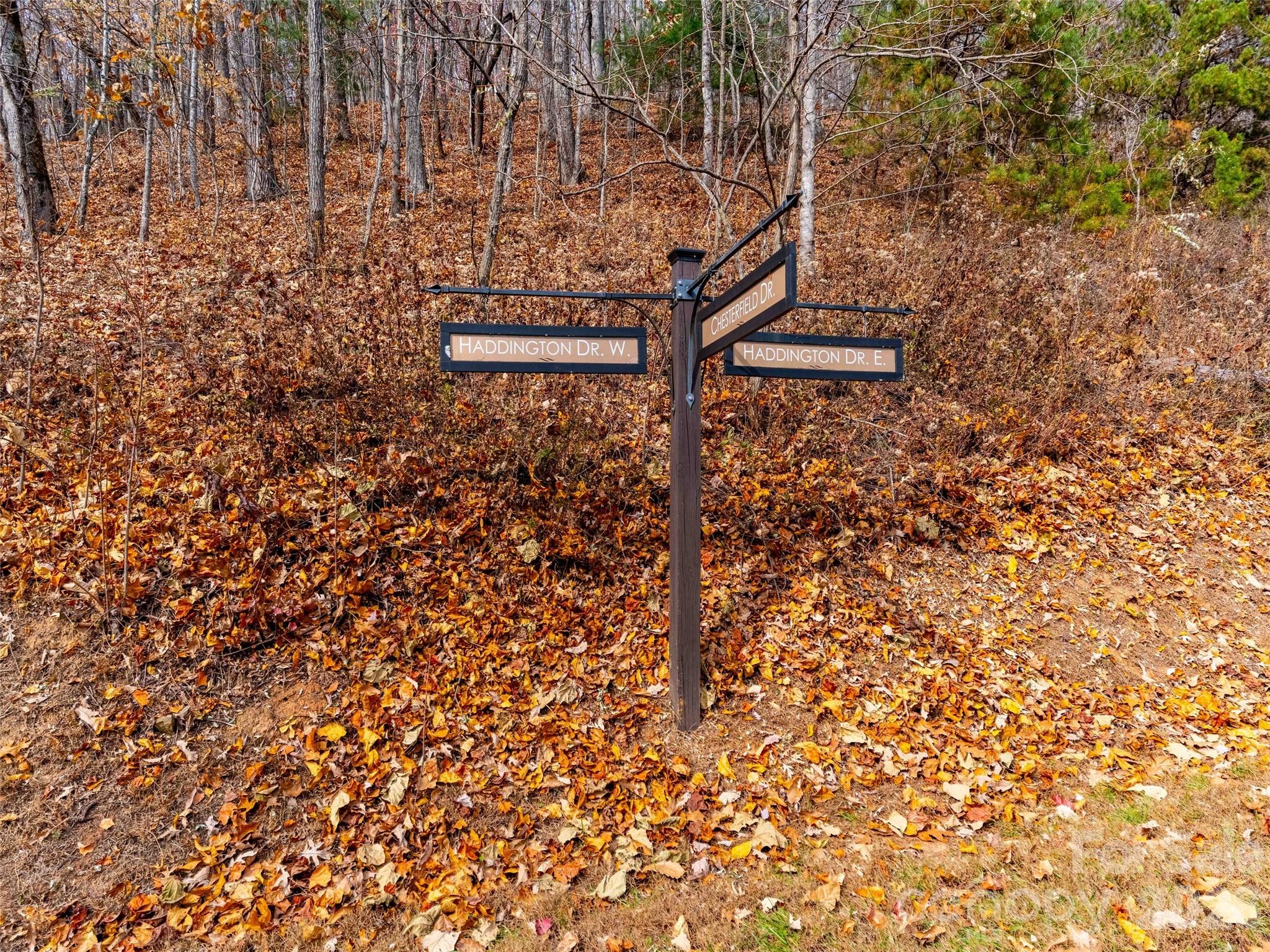 Lot 253 Haddington Drive Mill Spring NC 28756