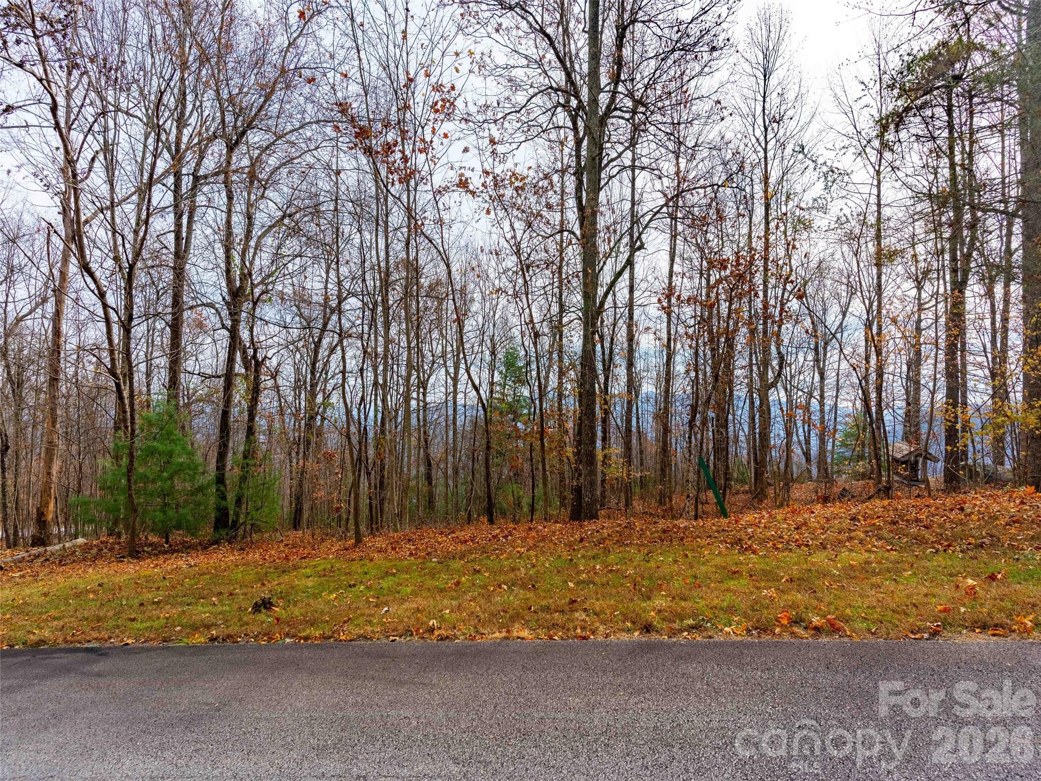 Lot 253 Haddington Drive Mill Spring NC 28756