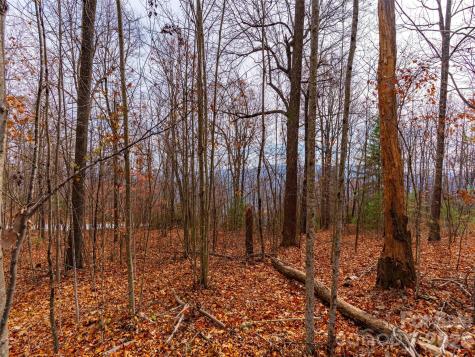Lot 253 Haddington Drive Mill Spring NC 28756