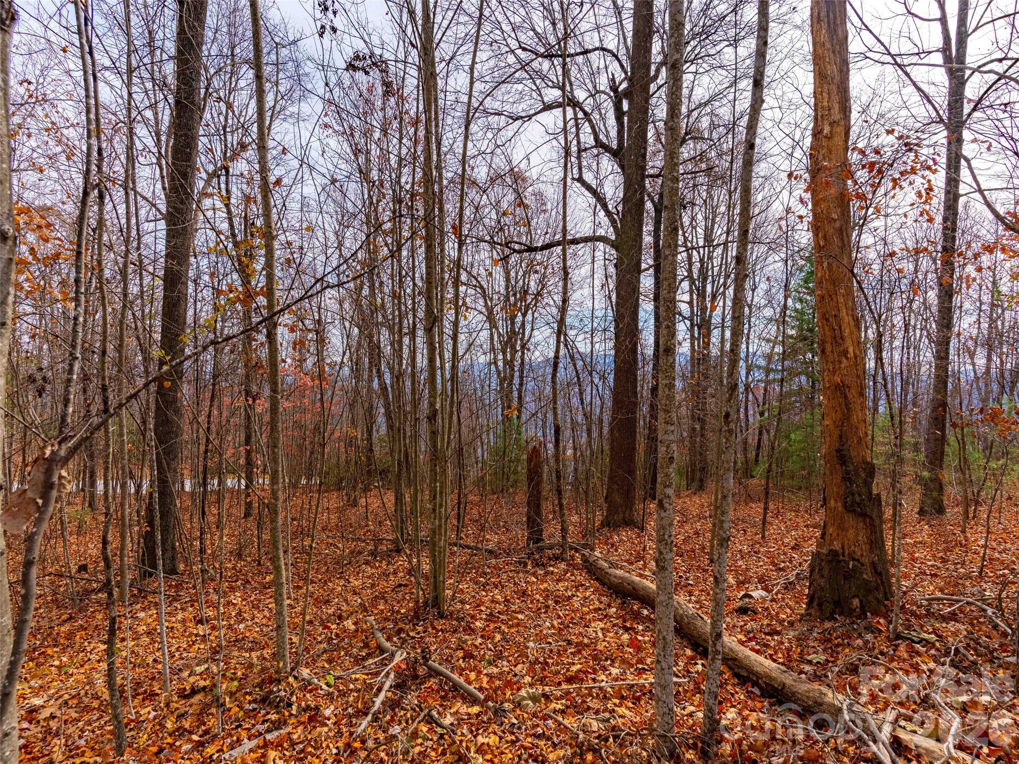 Lot 253 Haddington Drive Mill Spring NC 28756