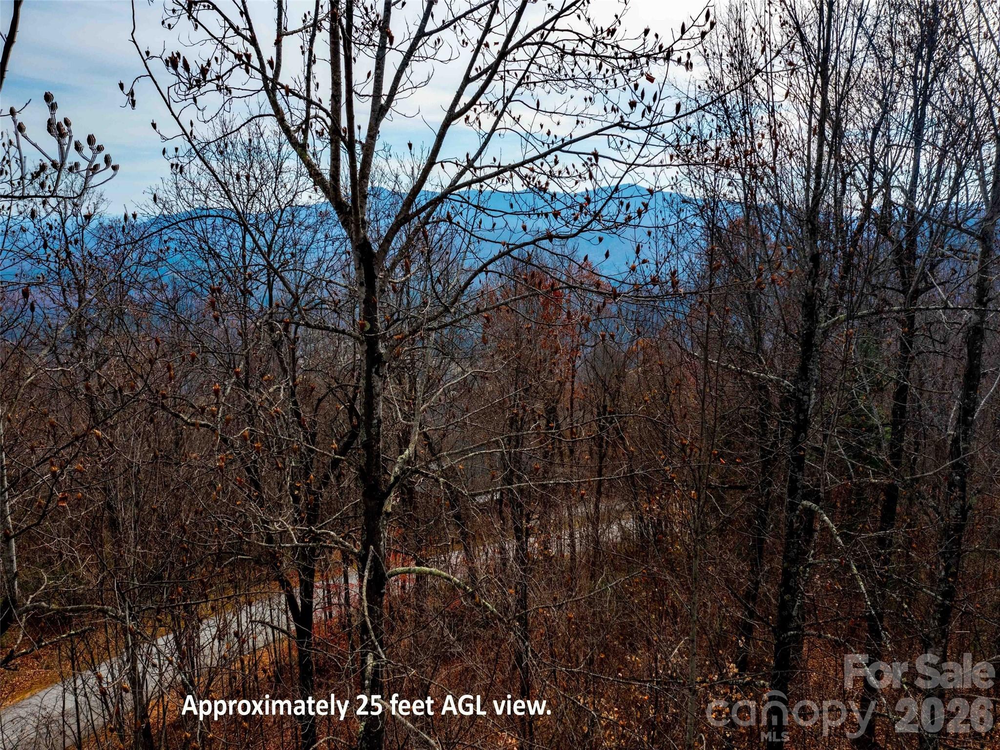 Lot 253 Haddington Drive Mill Spring NC 28756