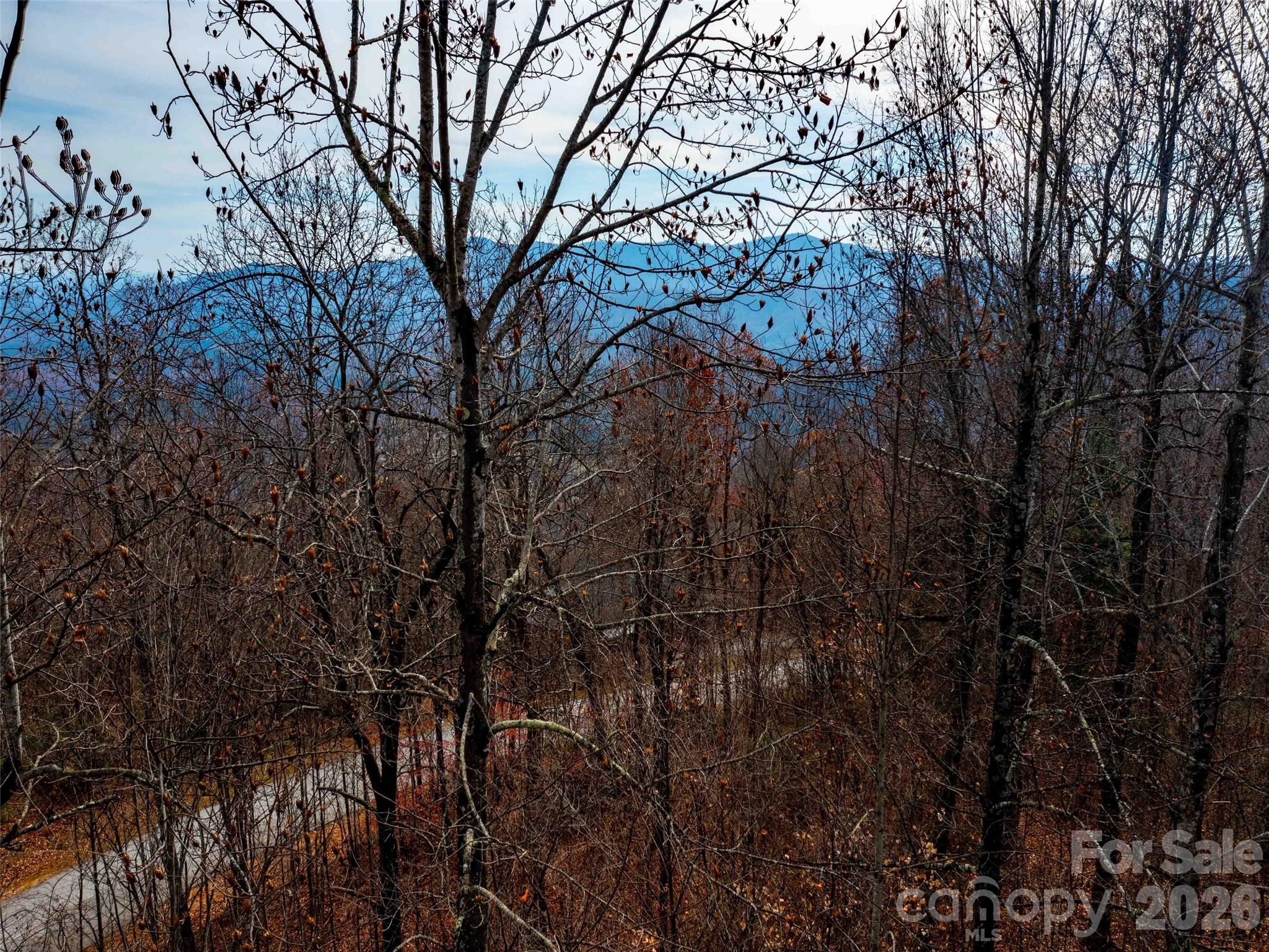 Lot 253 Haddington Drive Mill Spring NC 28756