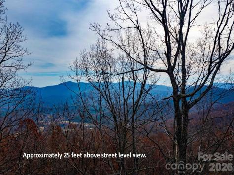 Lot 253 Haddington Drive Mill Spring NC 28756