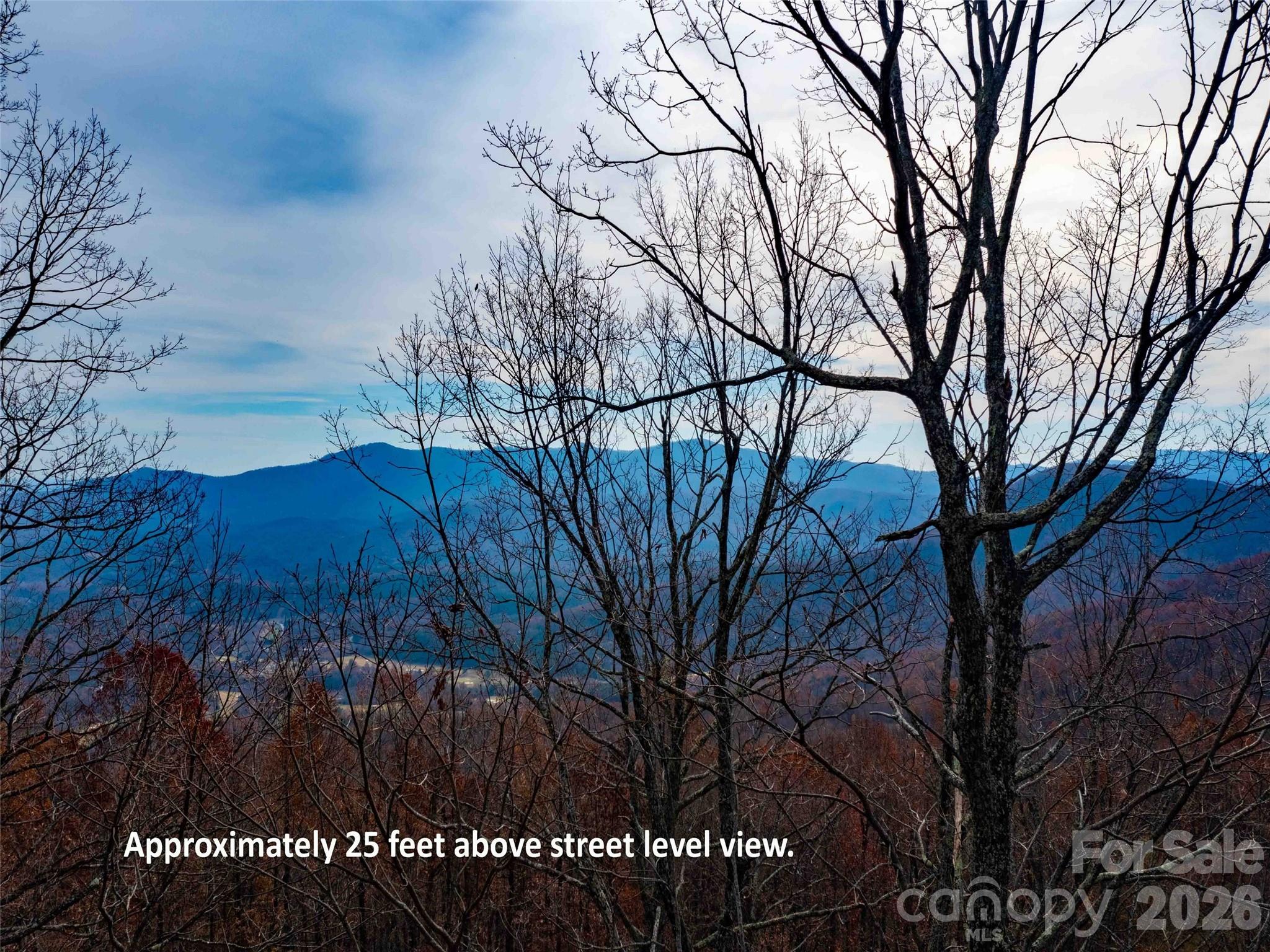 Lot 253 Haddington Drive Mill Spring NC 28756