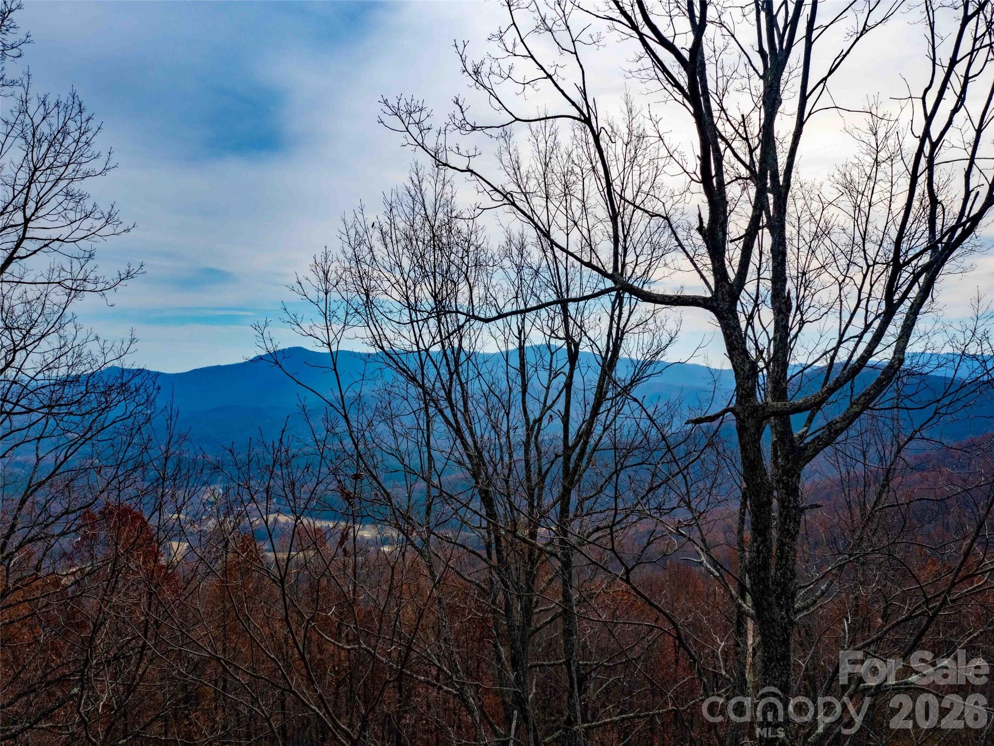 Lot 253 Haddington Drive Mill Spring NC 28756