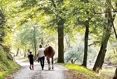 Lot G20, 2085 Thoroughbred Way Lenoir NC 28645