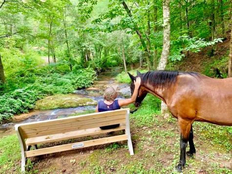 Lot G20, 2085 Thoroughbred Way Lenoir NC 28645
