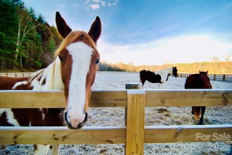 Lot G20, 2085 Thoroughbred Way Lenoir NC 28645