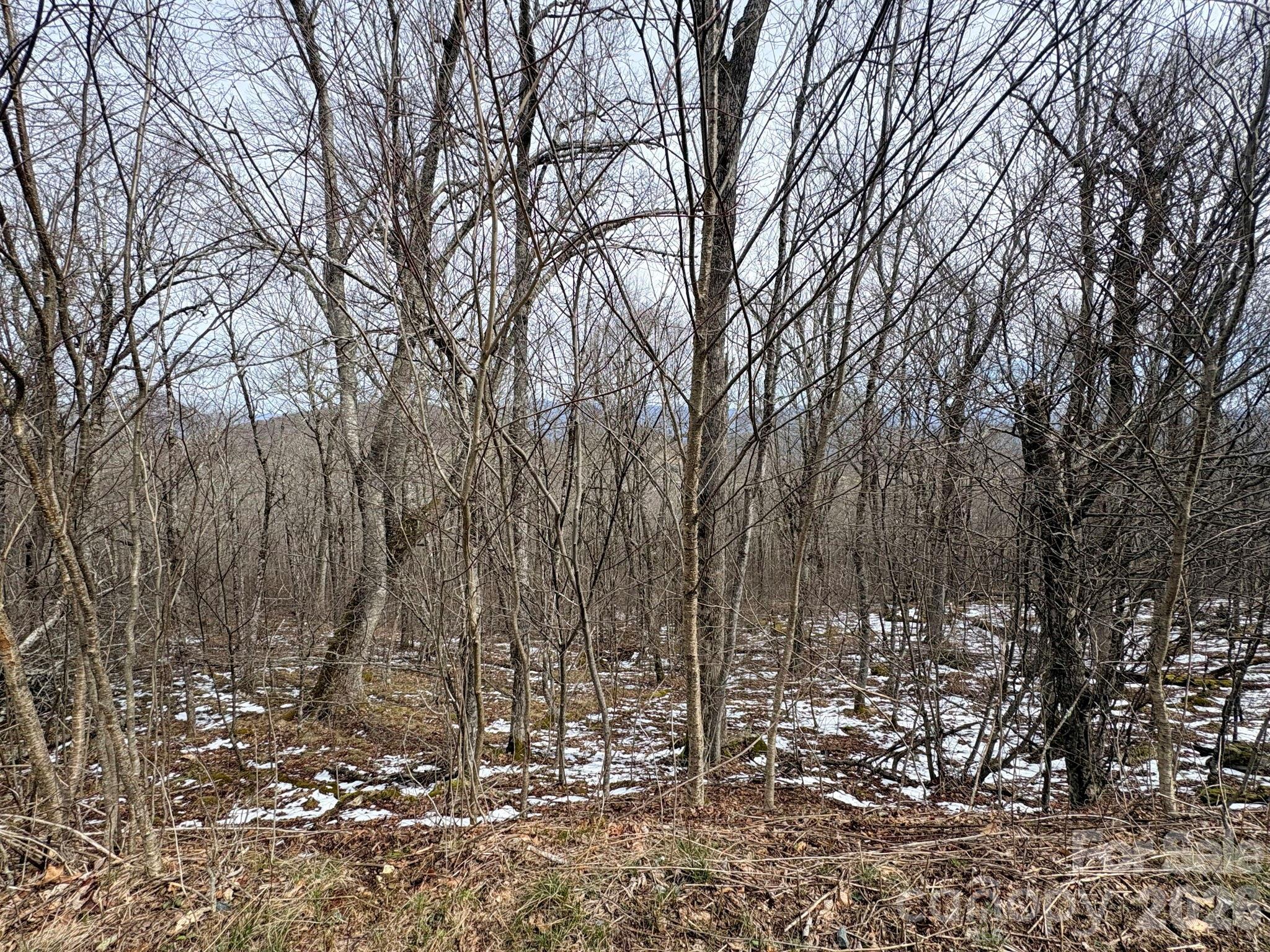 Lot 6 Chappell Farm North N Banner Elk NC 28604