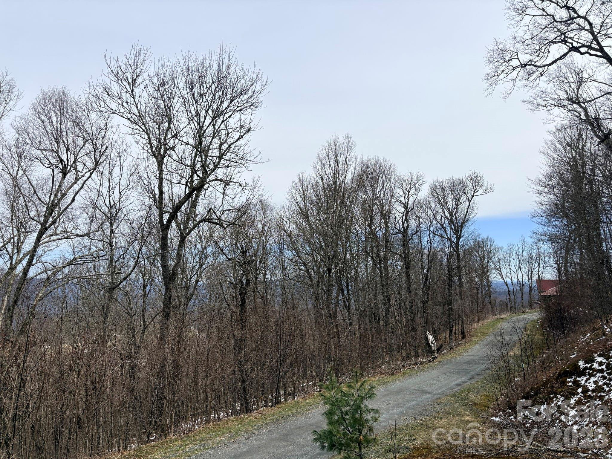 Lot 6 Chappell Farm North N Banner Elk NC 28604