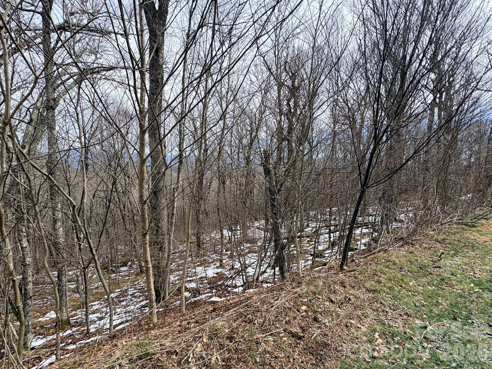 Lot 6 Chappell Farm North N Banner Elk NC 28604