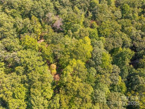 9999 Cindy Cove Trail Robbinsville NC 28771