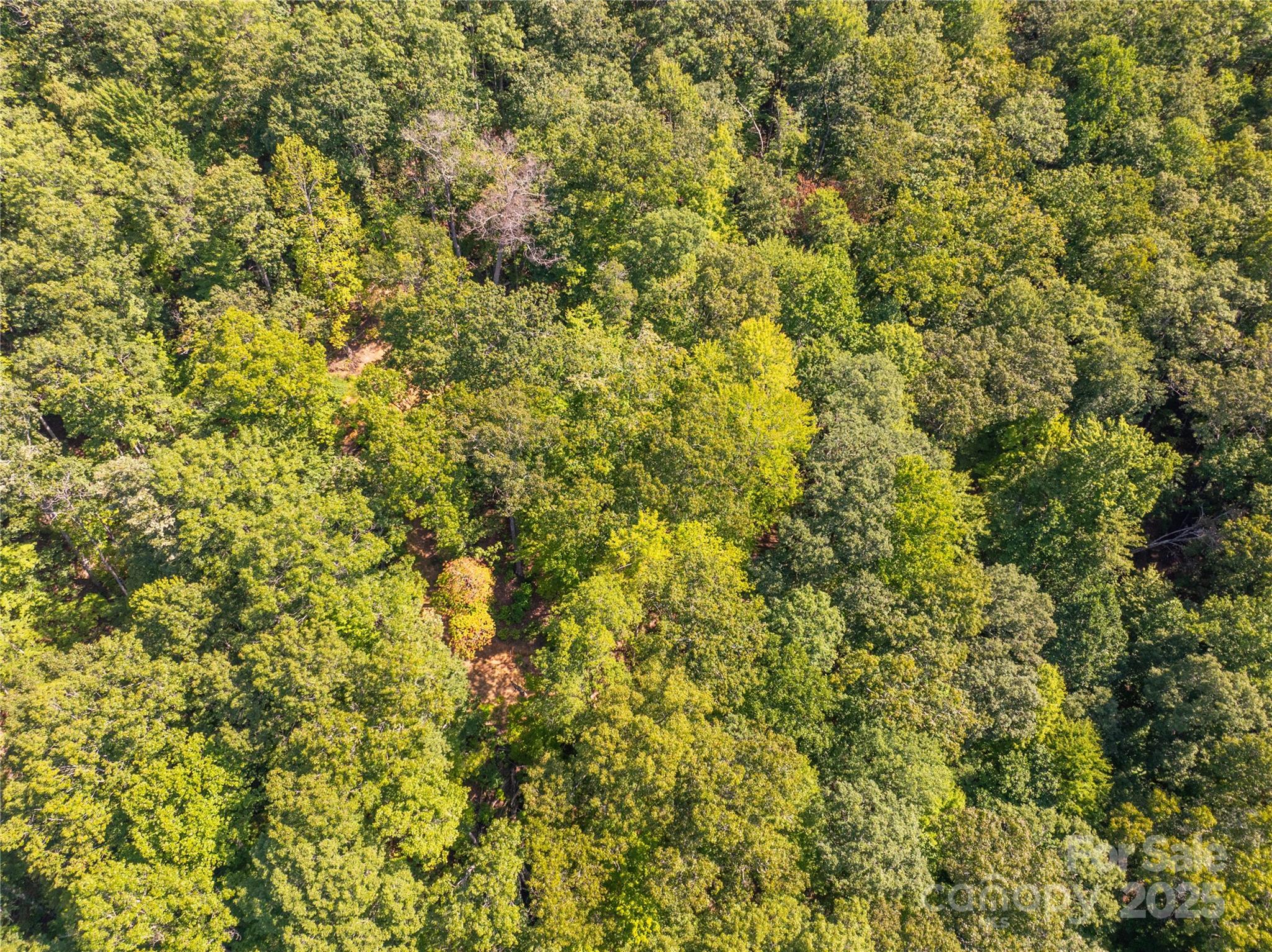 9999 Cindy Cove Trail Robbinsville NC 28771