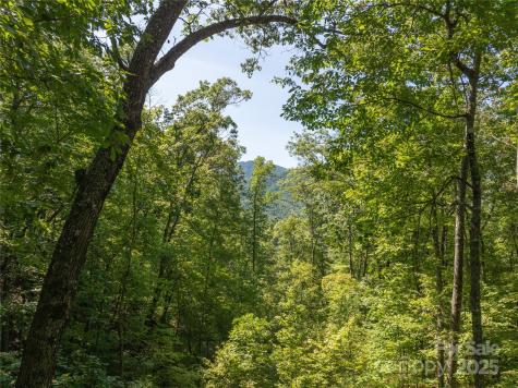 9999 Cindy Cove Trail Robbinsville NC 28771